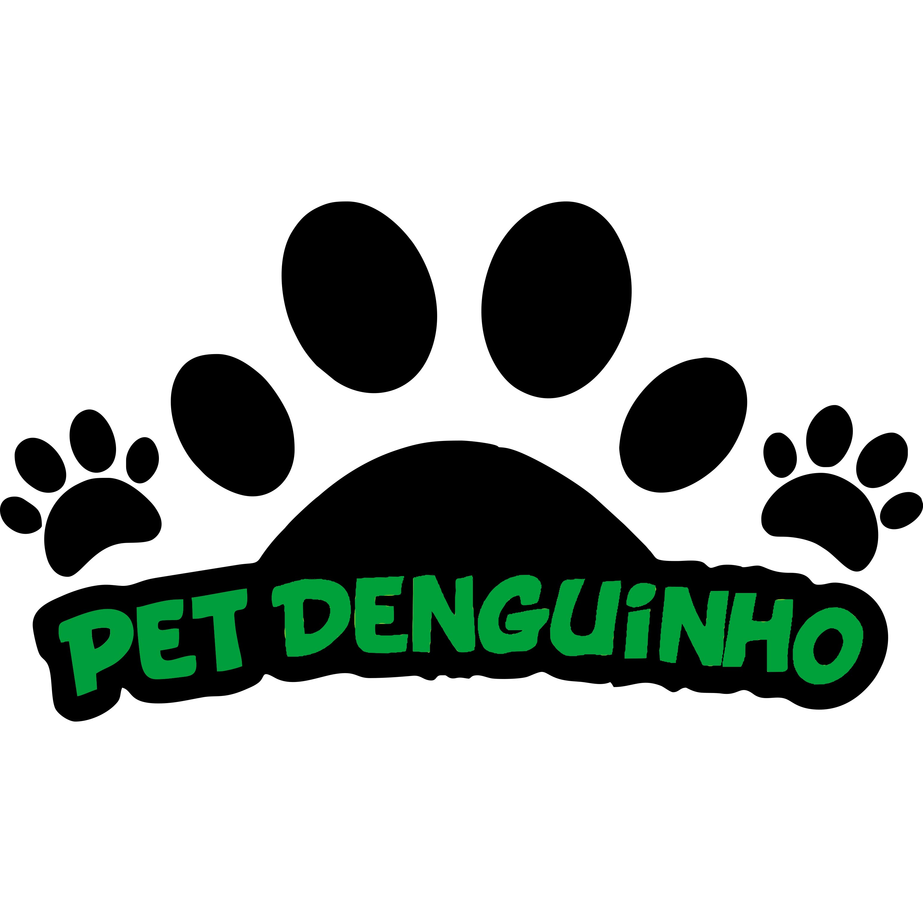 PET SHOP DENGUINHO